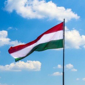 Weigering overlevering aan Hongarije | Uitlevering Cleerdin & Hamer advocaten